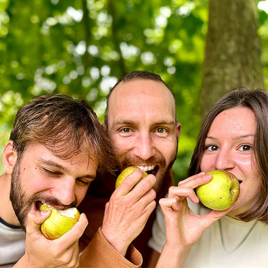 L’histoire du projet : de l’idée à la réalisation d'une forêt comestible