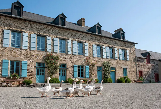 Ecomusée Bintinais de Rennes