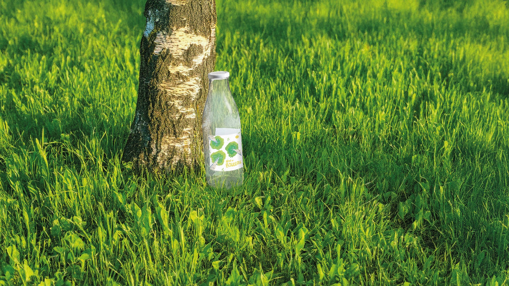 Home eau de bouleau