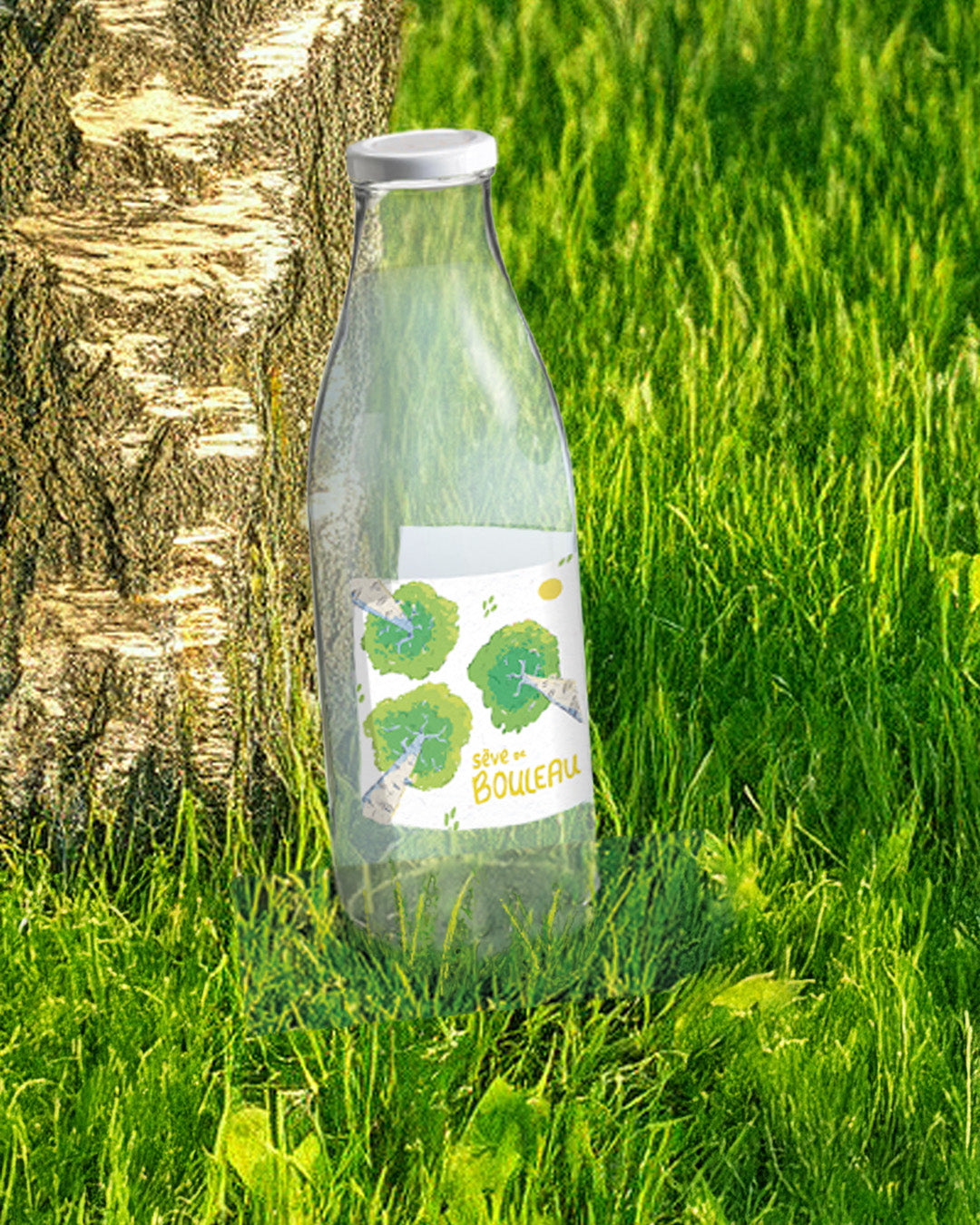 Sève de bouleau de la forêt, 1L Bio en en cure